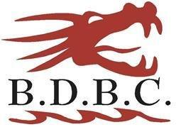 Logo-Belleville Dragon Boat Club